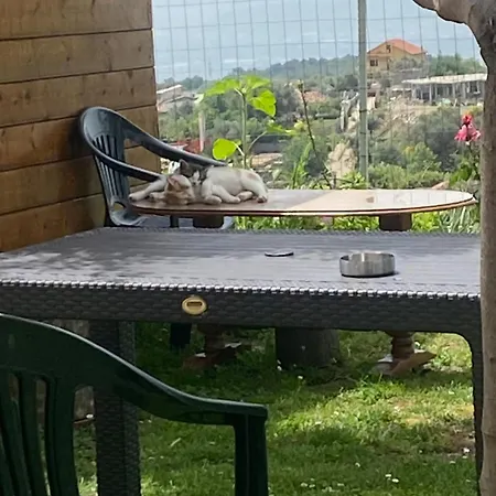 Meti Wooden