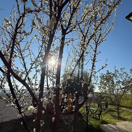 Meti Wooden Krujë